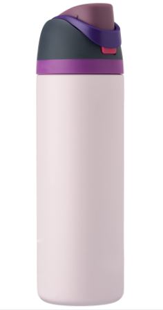 Insulated Stainless Steel Water Bottle