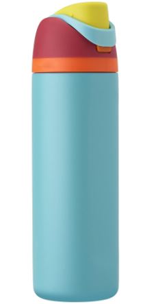 Insulated Stainless Steel Water Bottle